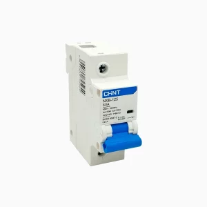 INTERRUPTOR 1PX100A 10KA CURVA C, NXB-125H
